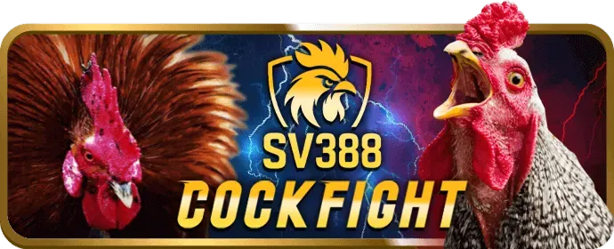 Đá Gà trực tuyến 2bong88 app